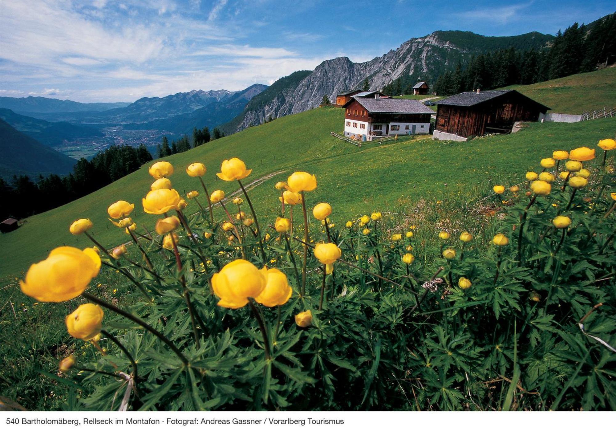 Alpine Lodge Kloesterle Am Arlberg Kamer foto